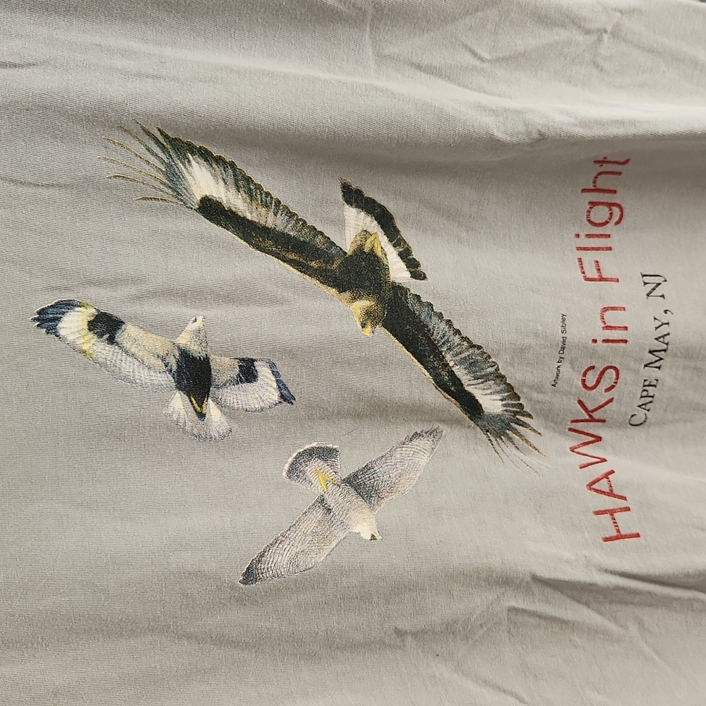 Cape May raptors LS tee